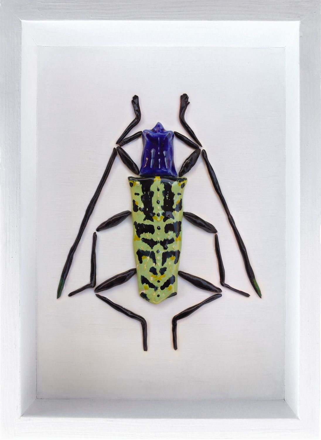 Cerambycidae lamiinae
